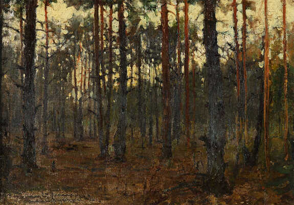 Жуковский Станислав Юлианович. Этюд «Сосновый лес» 